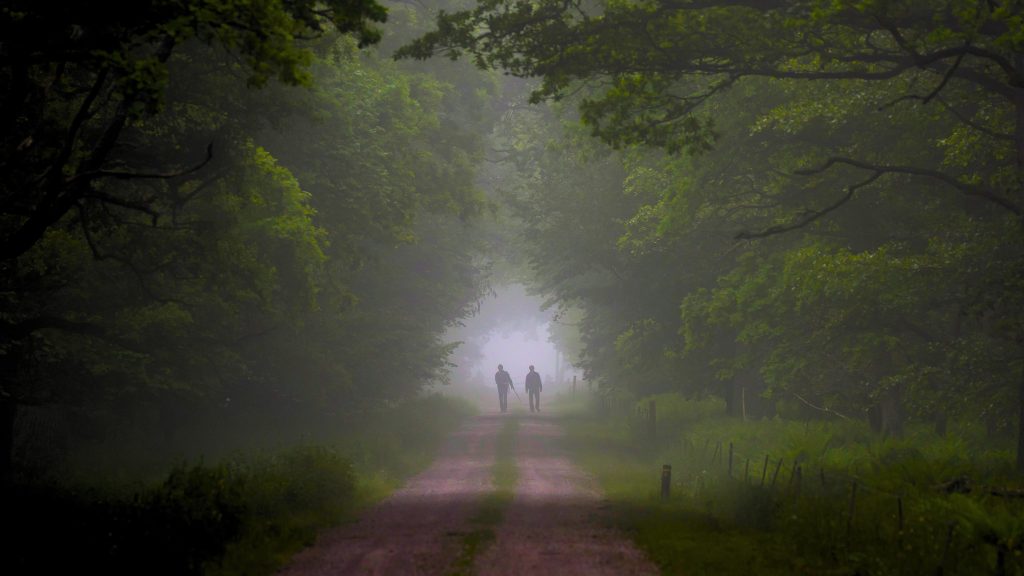 skådare som går i norra lunden i Ottenby, Öland